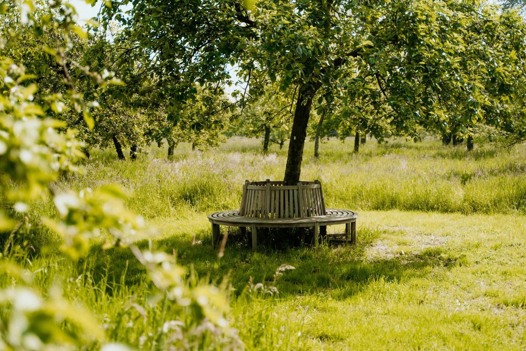 Cottage Landgoed Frymerson Sint Odiliënberg Exteriér fotografie